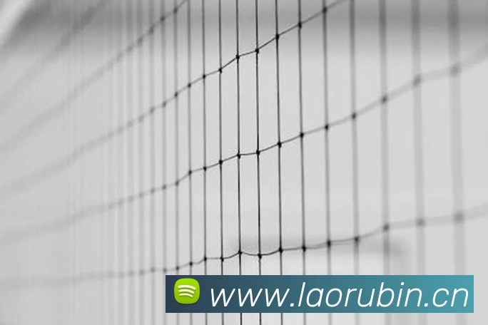 pg娱乐电子游戏app下载官网APP 体育赛事宣传图